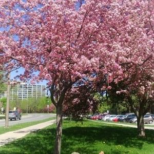 Meet your Posher, Angel